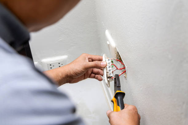 Best Electrical System Inspection  in Mesita, NM